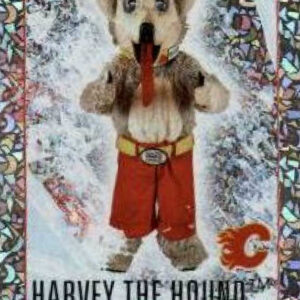 2023-24 TOPPS #71 - Harvey The Hound Flames Mascot