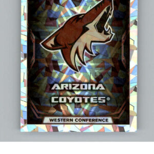 2021-22 TOPPS  #65- Team Logo