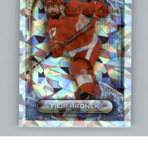 2021-22 TOPPS  #222- Filip Hronek