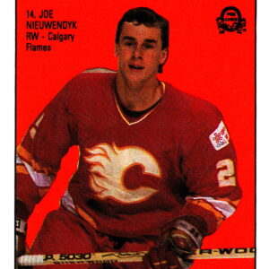 1988 O-Pee-Chee Back Cards #14-Joe Nieuwendyk