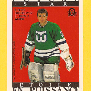 1989 O-Pee-Chee Back Cards #6-Peter Sidorkiewicz