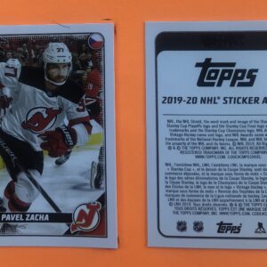 2019 TOPPS #301- Pavel Zacha