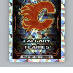 2021-22 TOPPS  #116- Team Logo