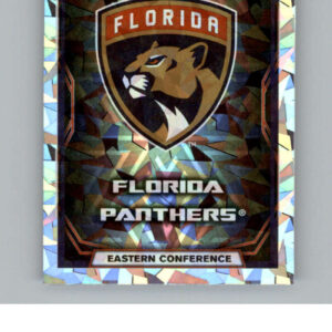 2021-22 TOPPS  #252- Team Logo