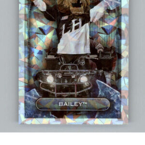 2021-22 TOPPS  #271- Bailey Kings Mascot