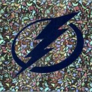 2023-24 TOPPS #443 - Team Logo Tampa Bay Lightning