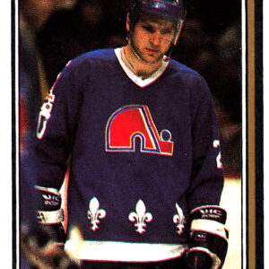 1987 O-Pee-Chee #228-Anton Stastny