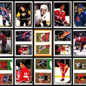 1987 O-Pee-Chee NHL Hockey Sticker Complete Set of 255 Luc Robitaille Ron Hextall Rookie