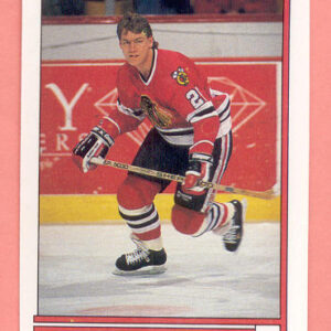 1989 O-Pee-Chee #17-Steve Larmer