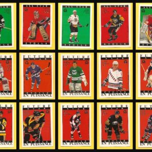 1989 O-Pee-Chee NHL Hockey Sticker Back Card Set of 34