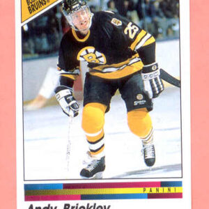1990 PANINI #16-Andy Brickley