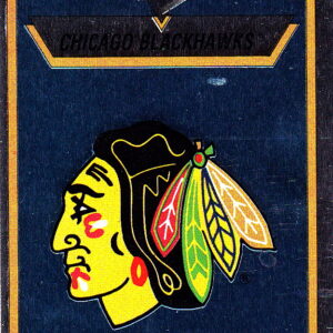1990 PANINI #195- Logo