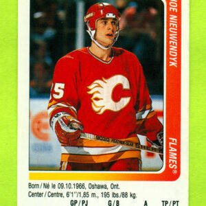 1991 PANINI #53-Joe Nieuwendyk