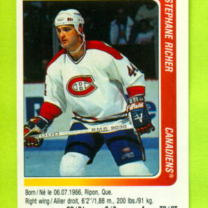 1991 PANINI #193-Stephane Richer
