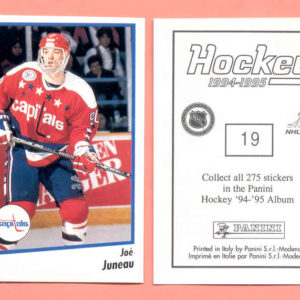 1994 PANINI #19-Joe Juneau