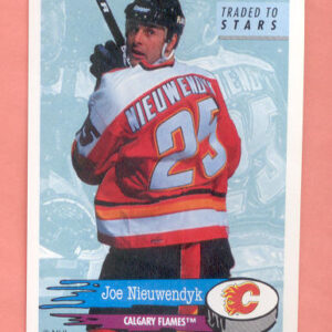 1995 PANINI  #233-Joe Nieuwendyk