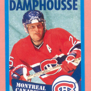 1996 PANINI #35-Vincent Damphousse