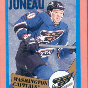 1996 PANINI #138-Joe Juneau