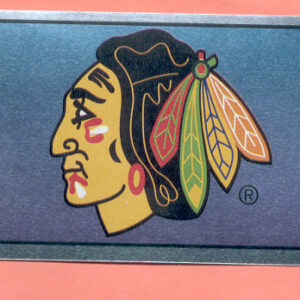 1996 PANINI #162- Logo