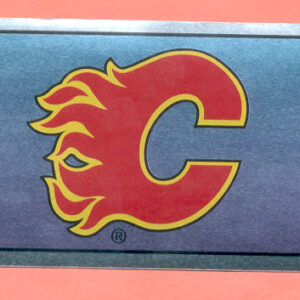 1996 PANINI #239- Logo