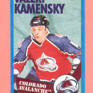 1996 PANINI #248-Valeri Kamensky