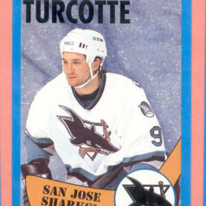 1996 PANINI #281-Darren Turcotte