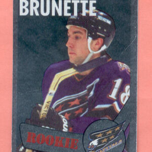 1996 PANINI #304-Andrew Brunette