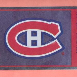 1997 PANINI #33- Logo