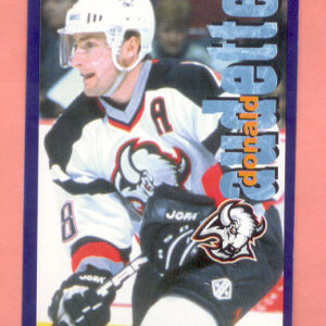 1998 PANINI #17-Donald Audette