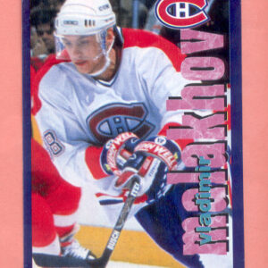 1998 PANINI #33-Vladimir Malakhov