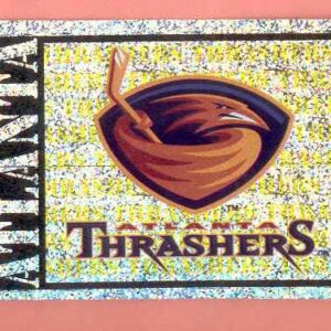 1999 PANINI #9- Thrashers Logo