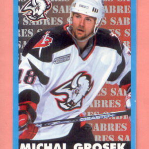 1999 PANINI #39-Michal Grosek