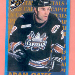 1999 PANINI #166-Adam Oates