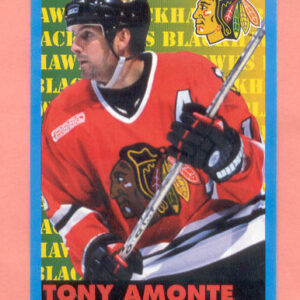 1999 PANINI #203-Tony Amonte
