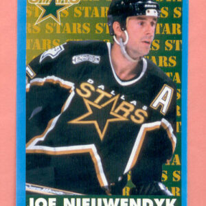 1999 PANINI #222-Joe Nieuwendyk
