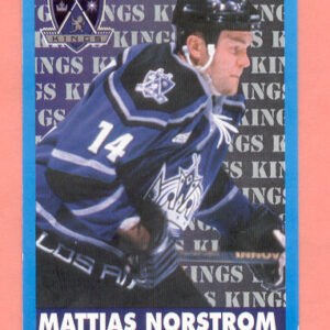 1999 PANINI #253-Mattias Norstrom