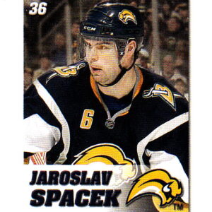 2008 Power Play Toys R Us #36-Jaroslav Spacek