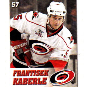 2008 Power Play Toys R Us #57-Frantisek Kaberle