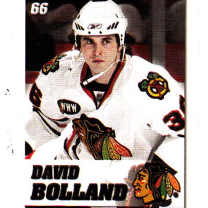 2008 Power Play Toys R Us #66-Dave Bolland