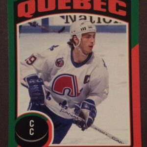 2014 O-Pee-Chee #13- Joe Sakic