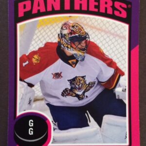 2014 O-Pee-Chee #56- Roberto Luongo