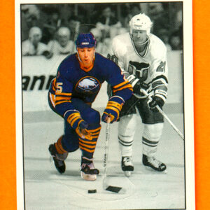 1987 PANINI #19-Dave Andreychuk