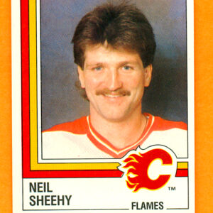 1987 PANINI #209-Neil Sheehy