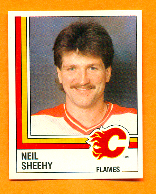 1987 PANINI #209-Neil Sheehy