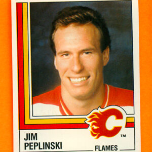1987 PANINI #213-Jim Peplinski