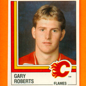1987 PANINI #217-Gary Roberts