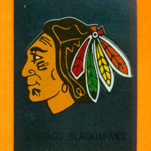 1987 PANINI #219- Logo