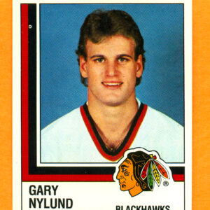 1987 PANINI #224-Gary Nylund