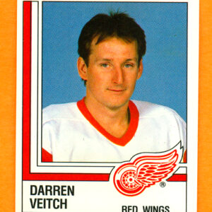 1987 PANINI #239-Darren Veitch