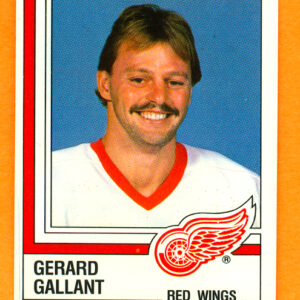 1987 PANINI #245-Gerard Gallant